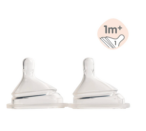 Hegen Teat Slow Flow, 2-Pack (1 to 3 months)