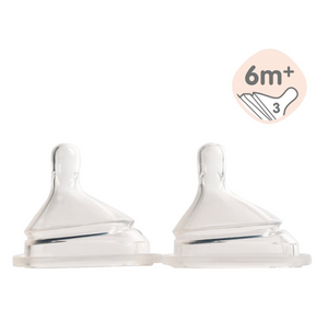 Hegen Teat Fast Flow, 2-Pack (6 months and beyond)