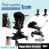 FAIRWORLD Ziggy Magic Stroller BC16V-Black / Grey